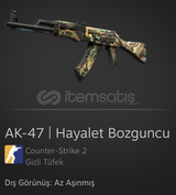 Ak 47 | Hayalet Bozguncu