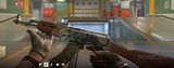AK-47 | Jaguar