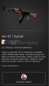 AK-47 | Kartel (Görevde Kullanılmış)