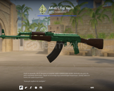 AK-47 | Kış Yeşili Görevde Kullanılmış