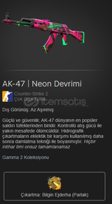 AK-47 | Neon Devrimi