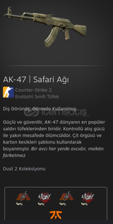 AK-47 | Safari Ağı 