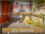 ⚡AK-47 | Safari Ağı #30