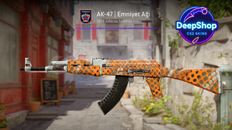 AK-47 | Safety Net (Field-Tested)