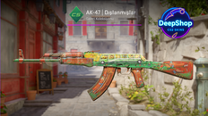 AK-47 | The Outsiders (Field-Tested)