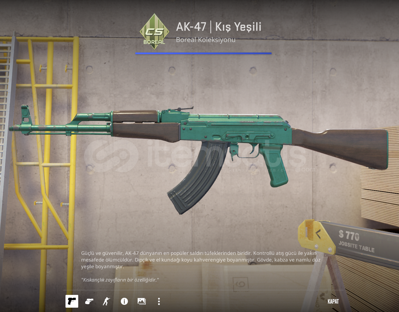 AK-47 | Wintergreen (Field-Tested) AK-47 | Wintergreen (Field-Tested)