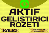 Aktif Geliştirici Rozeti Discord