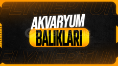 Akvaryum Balıkları