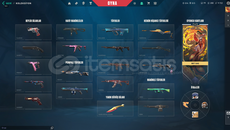 Alaz Yelpazeli Mainlenmelik Çar