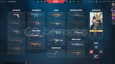 ALDIN ALDIN VALORANT SKİNLİ HESAP 