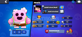 almadan önce dm 55 tl