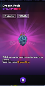 ALS DRAGON FRUİT EVOLVE İTEM (DRAGON KİNG)