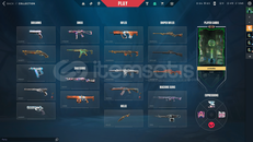 Altin Afet Hancer Eski Immo omurluk mailli