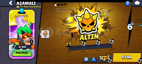 ALTIN/ EFSANEVİ Rank Boost ALTIN/ EFSANEVİ Rank Boost