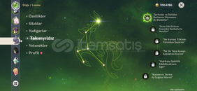 Amerika 55 ar 8x5 31M mora C1 Lauma Flins sig