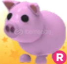 [AMP] R Pig + Hızlı Teslimat