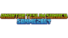 ANAHTAR TESLIM HAZIR SUNUCU ANAHTAR TESLIM HAZIR SUNUCU