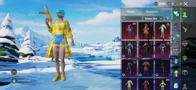 Ananas seti full yükseltilebilir ump 2 sv