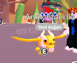 ancient dragon adopt me ancient dragon adopt me