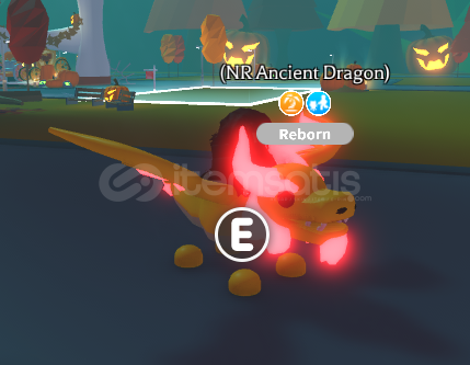 Ancient Dragon F N Ancient Dragon F N
