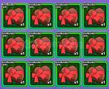 Anime Vanguards 500RR Bundle