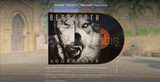 ✨ANINDA TESLİM StatTrak™Beartooth, Aggressive✨