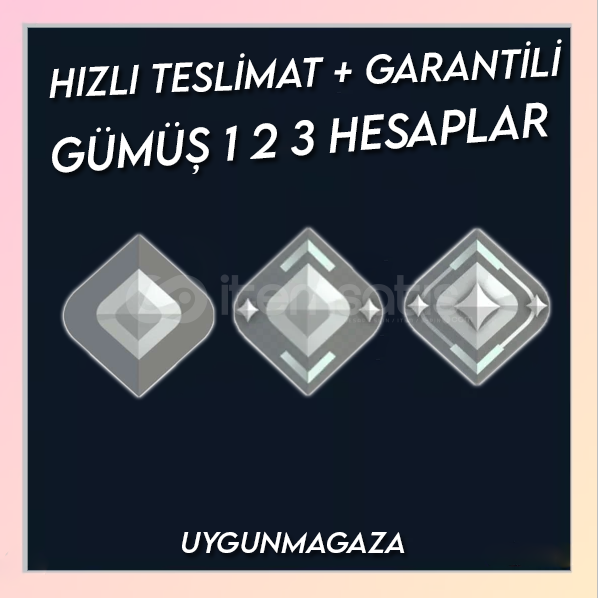 ( ANINDA TESLİMAT ) TR MAİLLİ GÜMÜŞ 1 2 3 HESAP ( ANINDA TESLİMAT ) TR MAİLLİ GÜMÜŞ 1 2 3 HESAP
