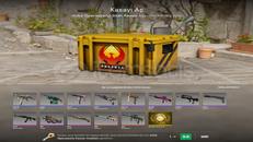 ANKA OPERASYONU KASASI UCUZDAN SALIYORUM ANKA OPERASYONU KASASI UCUZDAN SALIYORUM