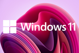 EN UYGUN WINDOWS 11 PRO KEY GARANTİLİ