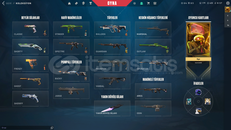 ANOMALİ KELEBEK VANDAL GHOST 24 SKİNLİ HESAP