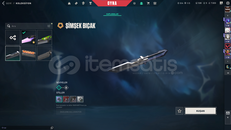 ⭐ANOMALİ SETLİ MAİNLEMELİK HESAP⭐