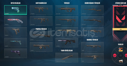 ANOMALİ VANDALLI TEMİZ 0 HESAP UNRANKED