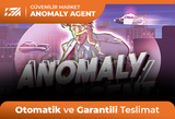 Anomaly Agent