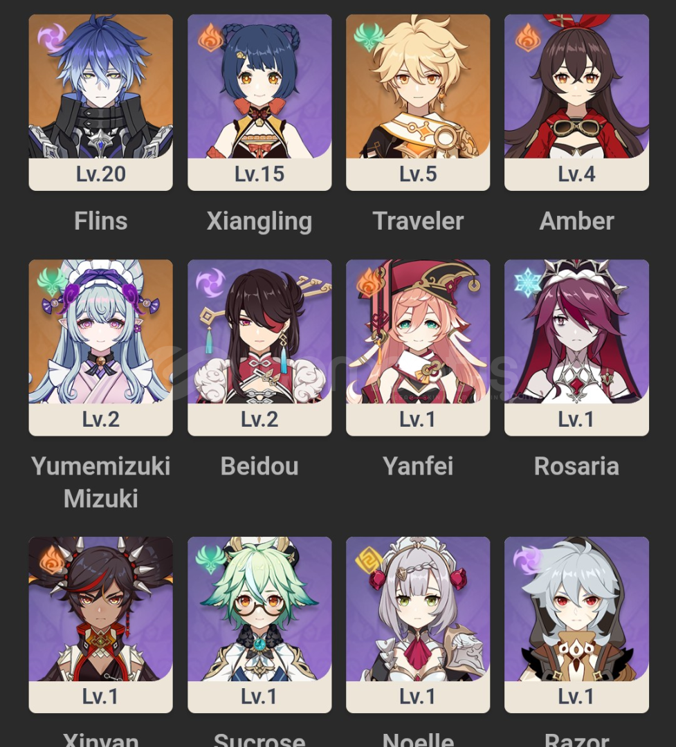 AR 6 FLINS STARTER AR 6 FLINS STARTER
