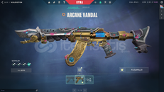 Arcane Eldivenleri ve Vandal Oni Özel Harekat P