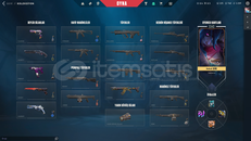 ARCANE ELDİVENLİ VANDALLI MAİLLİ HESAP