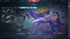 ARCANE VANDAL VE SHERİF VAR