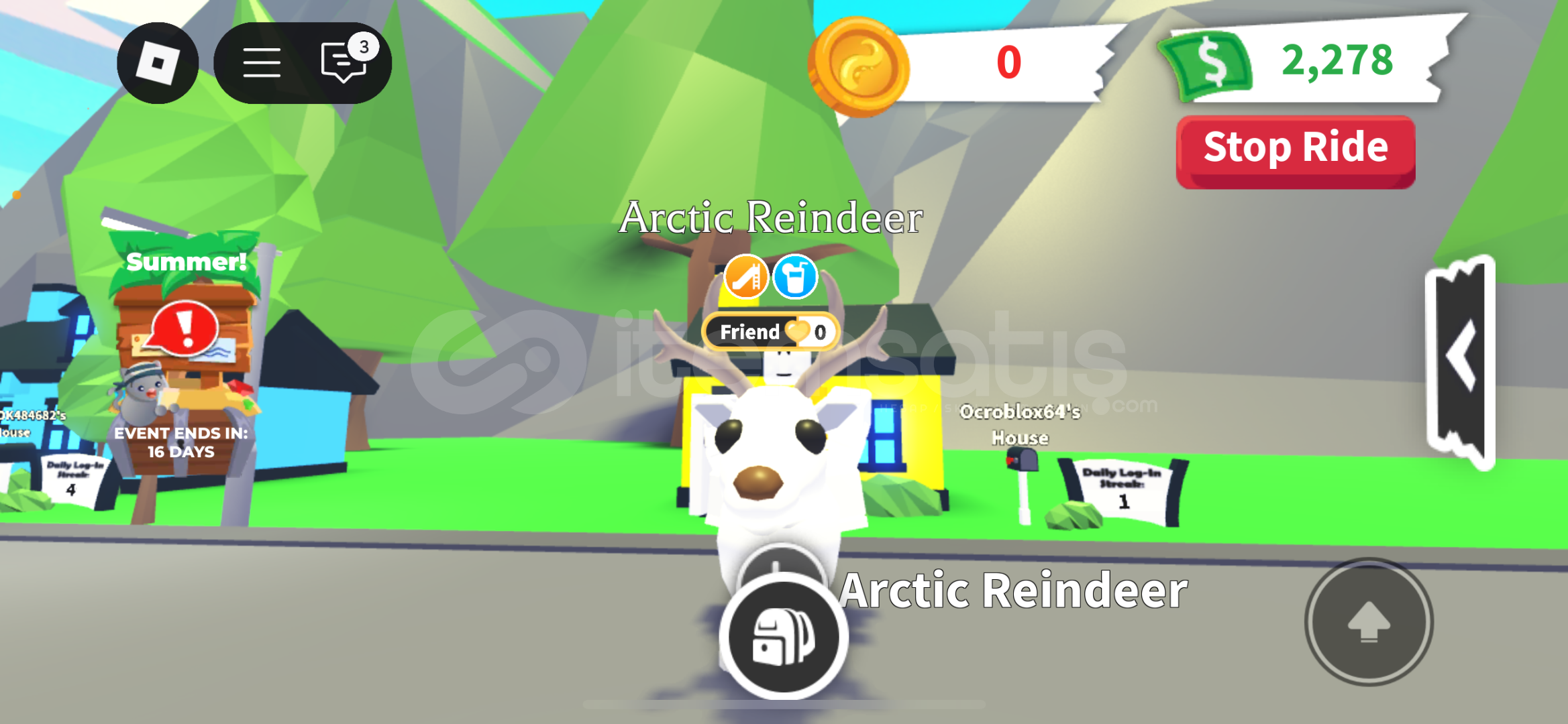 Arctic raindeer FR EN UCUZ İLAN !! Arctic raindeer FR EN UCUZ İLAN !!