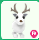 Arctic Reindeer R