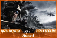 Arma 3