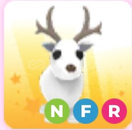 Artic reindeer nfr