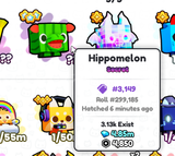 Pets Go HippoMelon