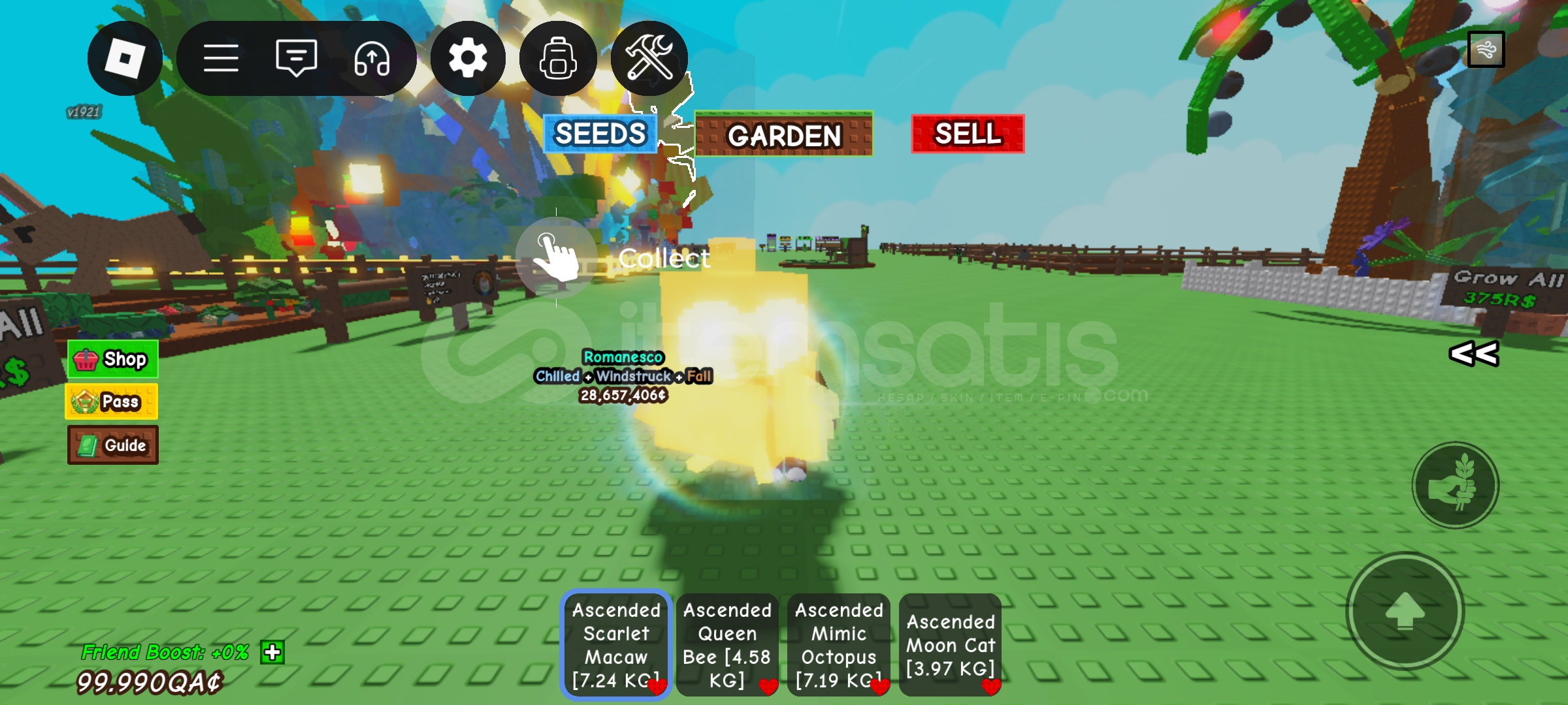 Ascended scarlet macow Ascended scarlet macow