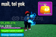 BF BUDDHA FRUIT ENVANTER HESAP