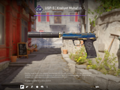 USP-S | Kraliyet Muhafızı (BS) USP-S | Kraliyet Muhafızı (BS)