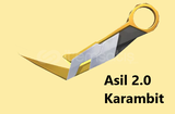 Asil 2.0 Karambit İlk Mailli Hesap