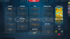 Asil Karambit Vandal Ve Phantom