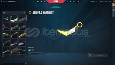 asil karambit ve anomali vandallı hesap
