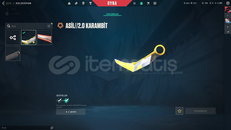 asil karambitli Dia3 dolu skinli hesap 