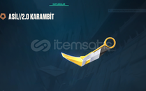 ASİL KARAMBİTLİ ENVANTER DOLUSU HESAP